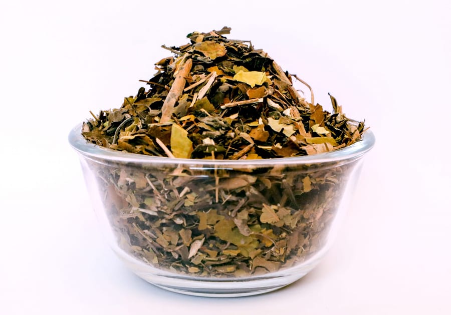 Adhatoda Vasica (Vasaka)