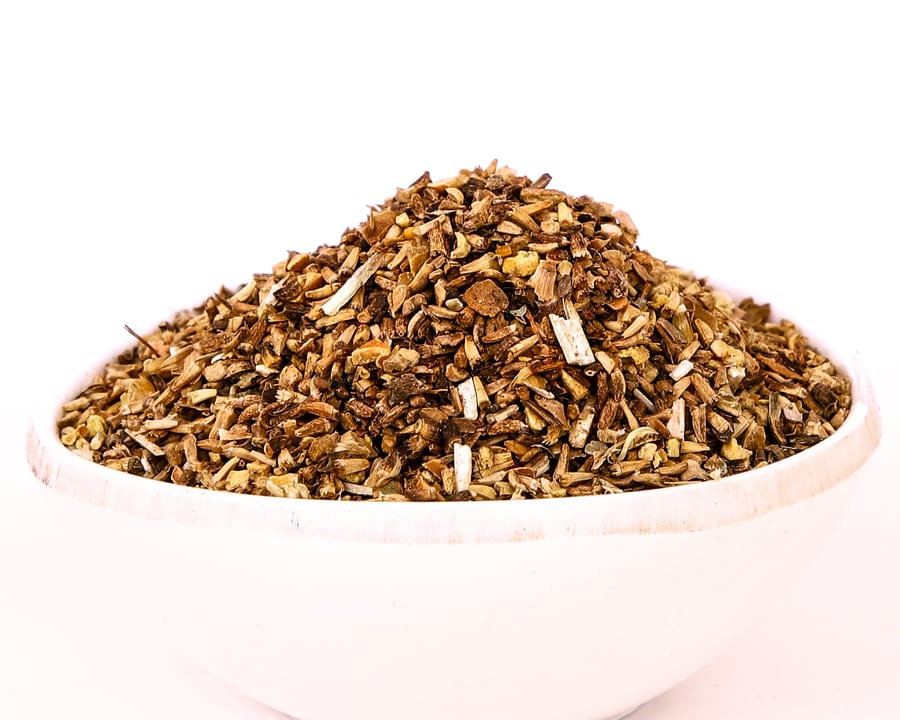 Chicory Seed