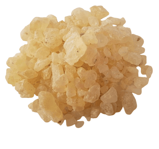 Damar Gum
