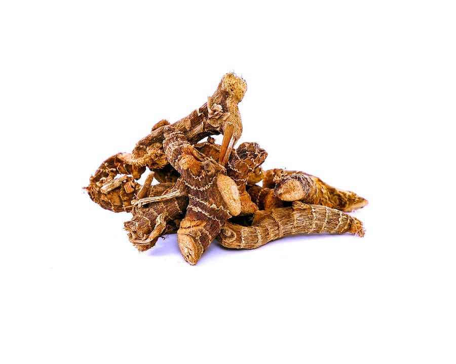 Hedyotis Corymbosa