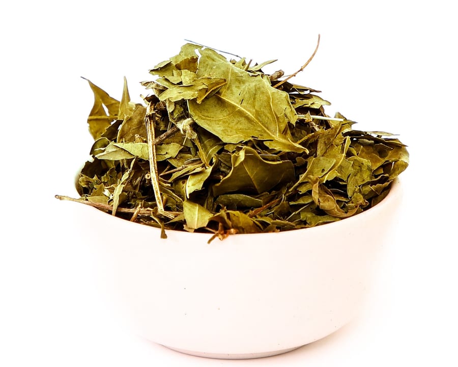 Henna Leaves