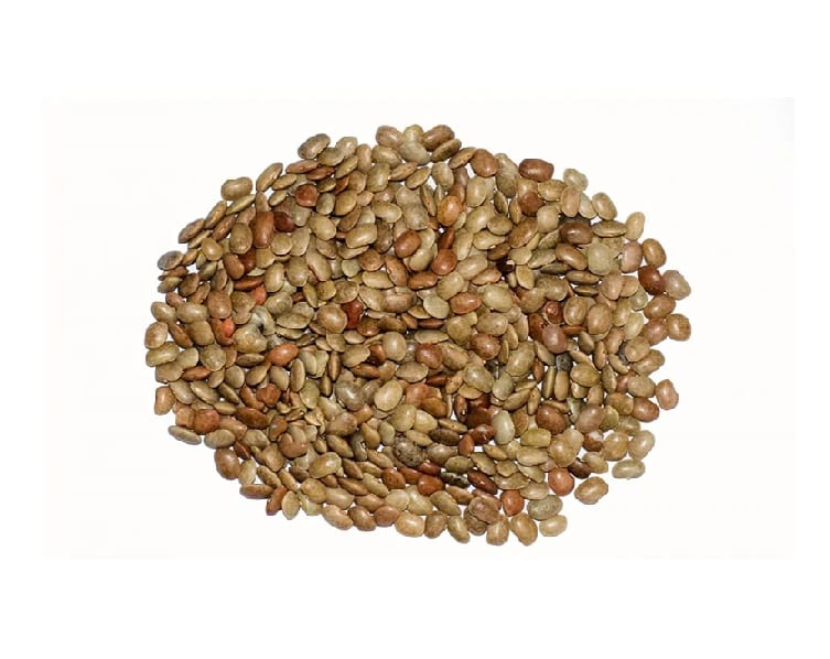 Horse Gram