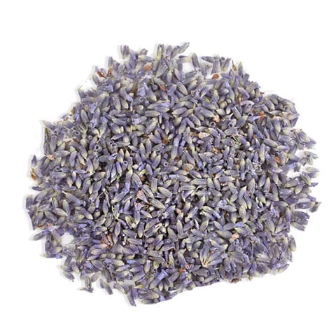 Lavender flowers