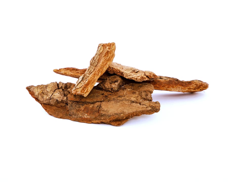 Mimusops Elengi (Bakul)
