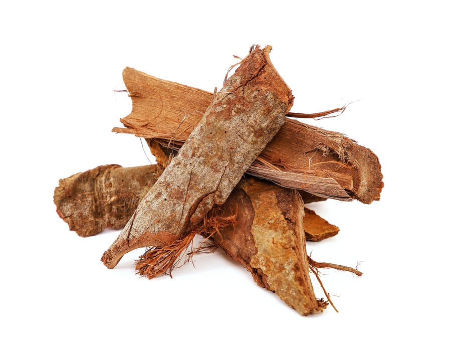Saraca Asoca