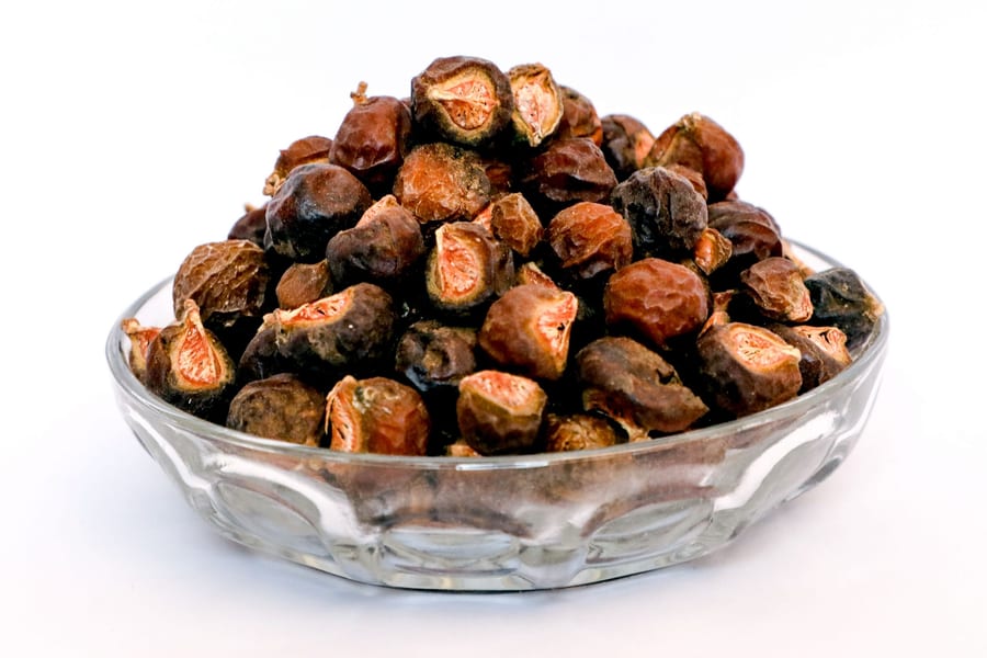 Soapnut (Soapberry)