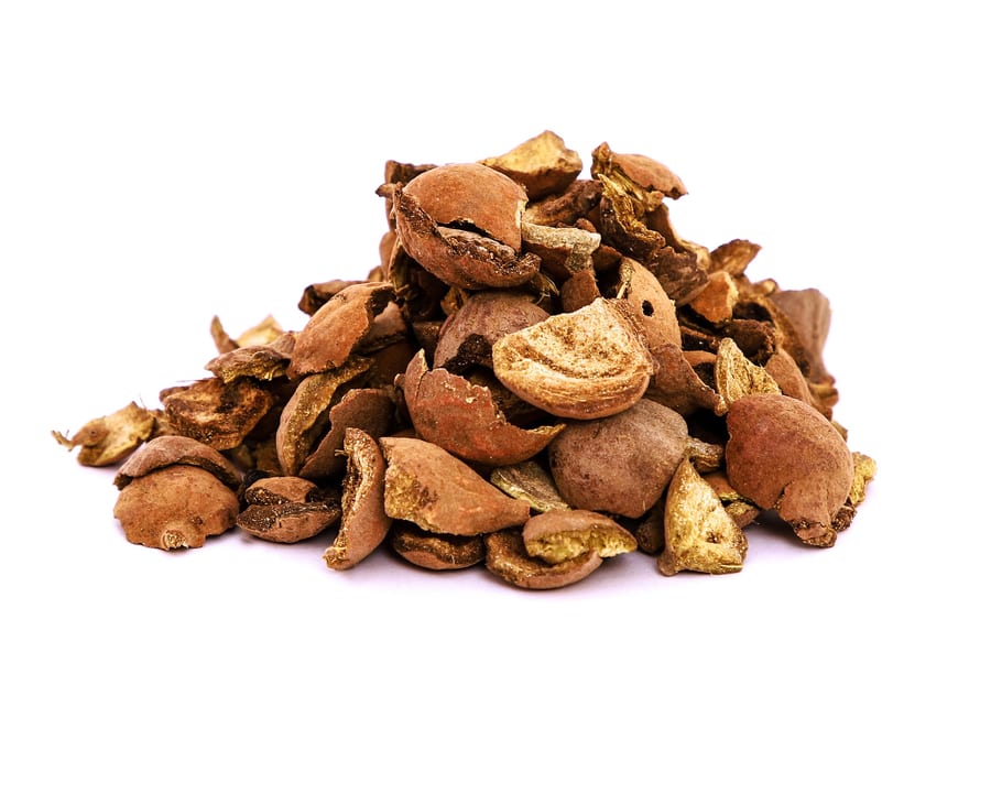 Terminalia bellirica