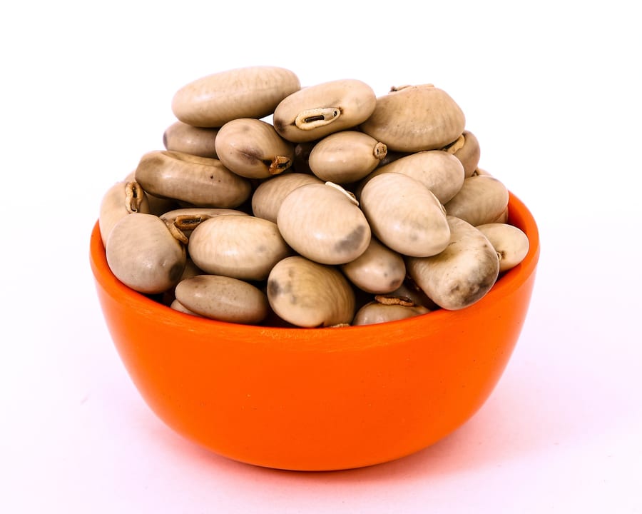 Velvet Bean