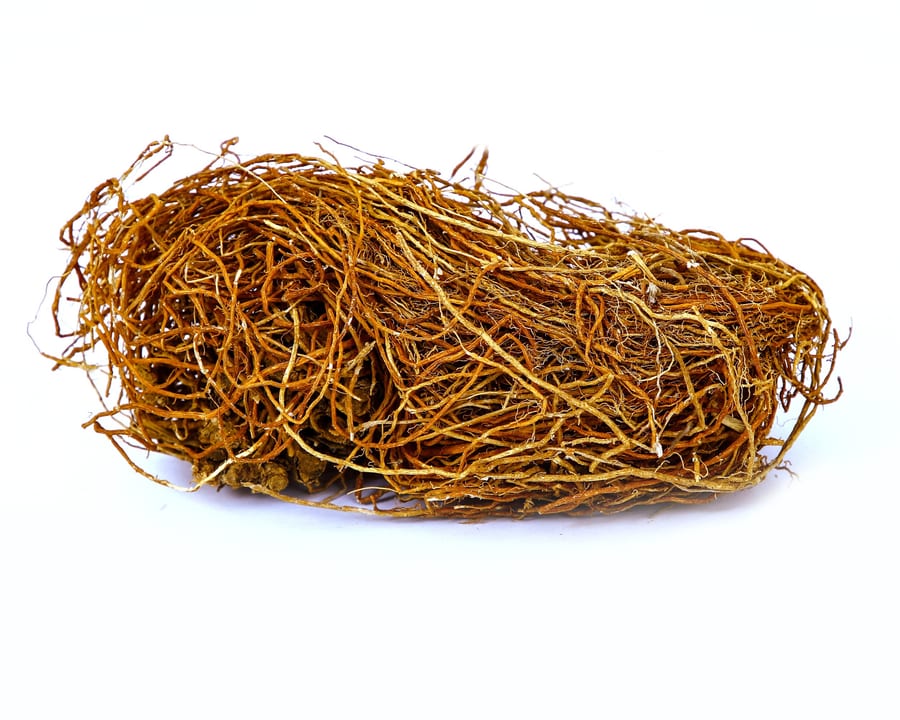 Vetiver Root