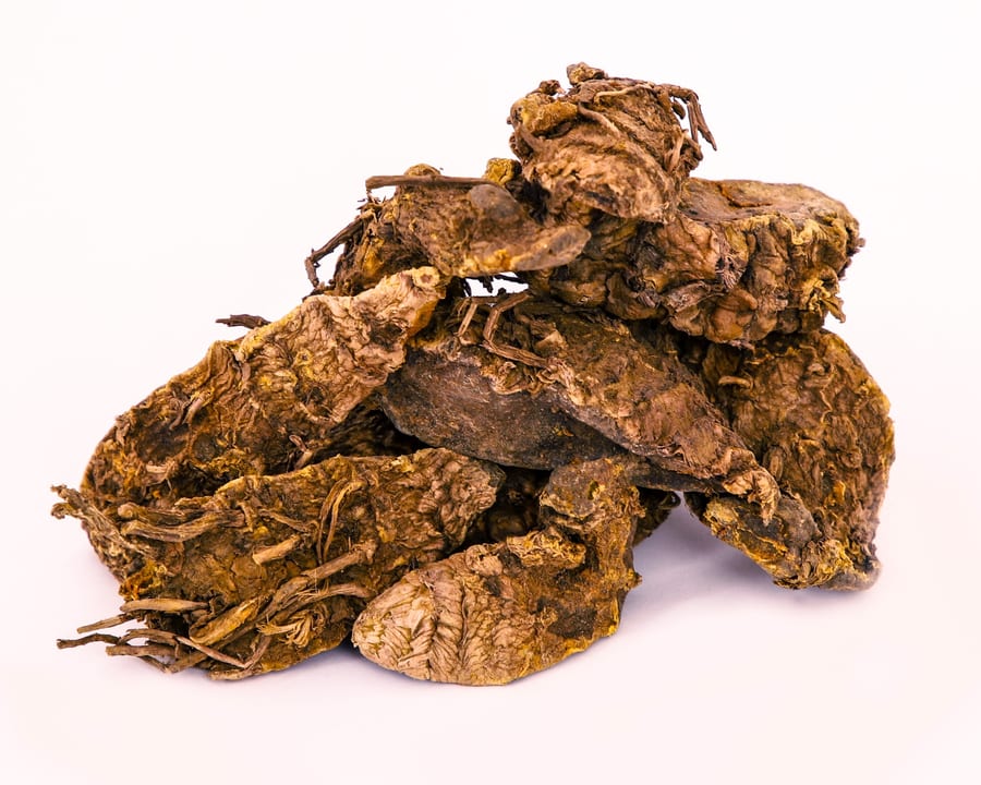 Wild Turmeric